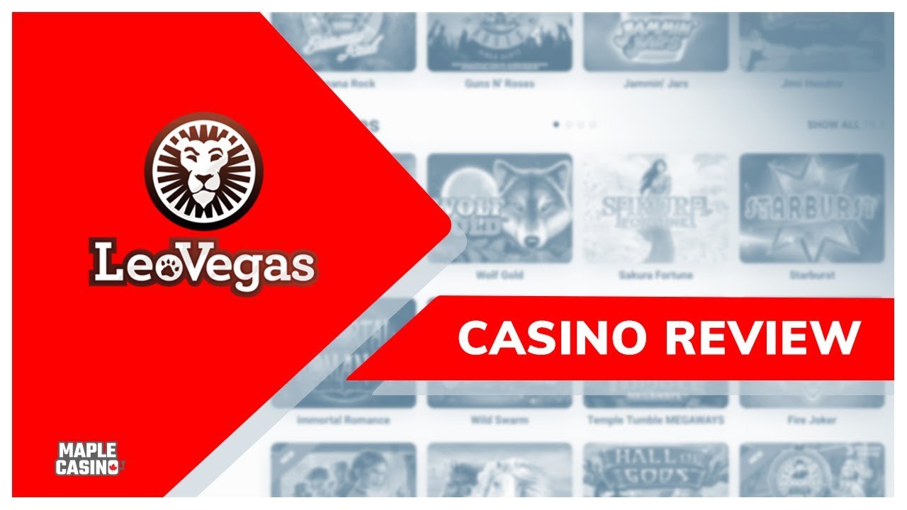 All Of Your Casino Game Options At LeoVegas | An Official Maple ...